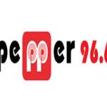 PEPER 88,6