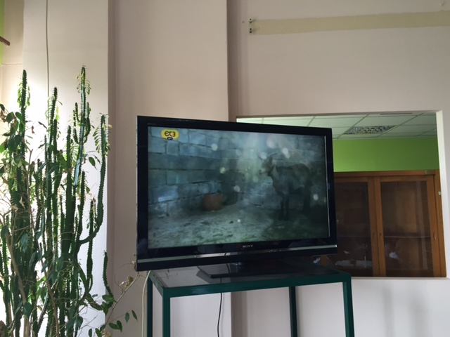 ΕΡΤ Live ενημέρωση: Η ΕΤ3 στο Ραδιομέγαρο