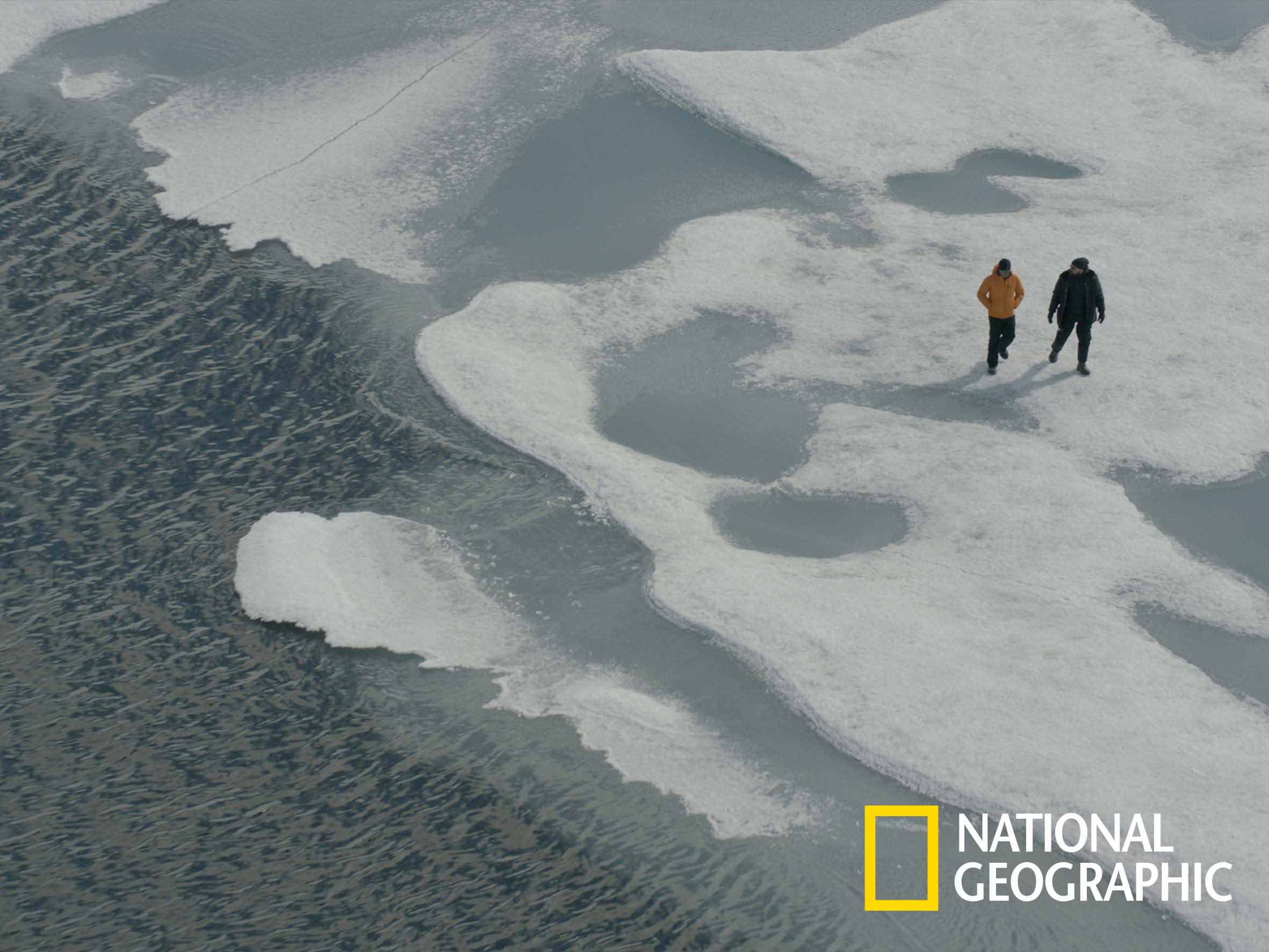 Έκτακτη προβολή του “Before the flood” από το National Geographic μετά την απόφαση Τράμπ