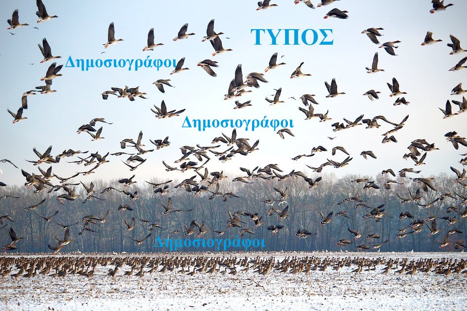 Δημιουργία παν-δημοσιογραφικής παράταξης «Άμεσης Δημοκρατίας-120»