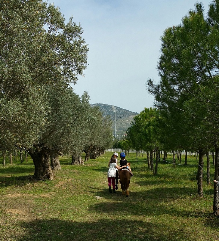 Βόλτες με άλογα και διασκεδαστικές δραστηριότητες στον ιππόδρομο στις 5 Ιουλίου-