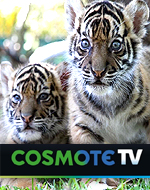 Η COSMOTE TV εμπλουτίζει τα κανάλια της με το Viasat Explore & το Viasat Nature