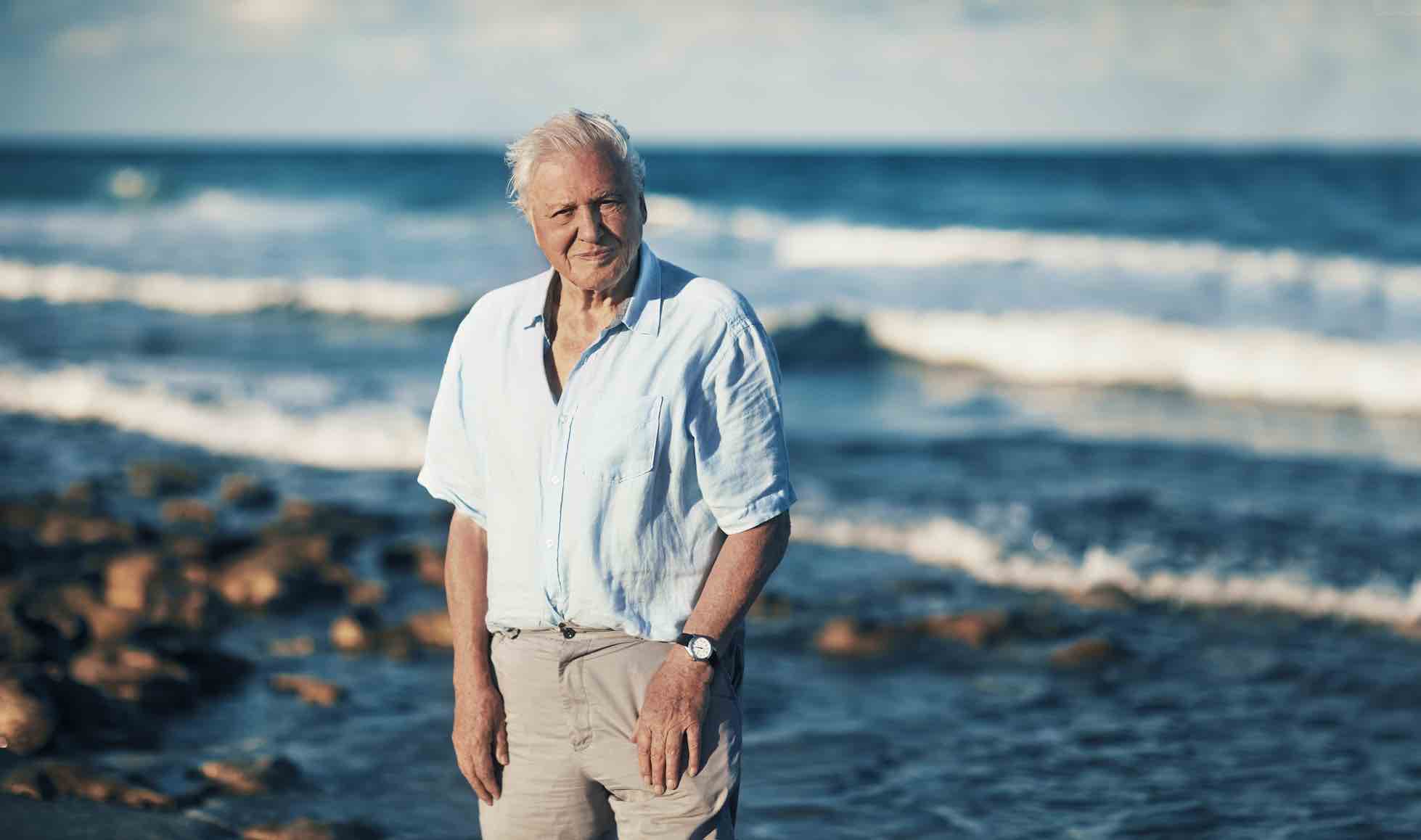 Blue Planet II: το πολυαναμενόμενο ντοκιμαντέρ του BBC Earth κάνει πρεμιέρα αποκλειστικά στην COSMOTE TV