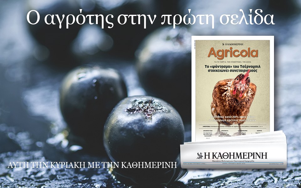 Στην “Καθημερινή” της Κυριακής