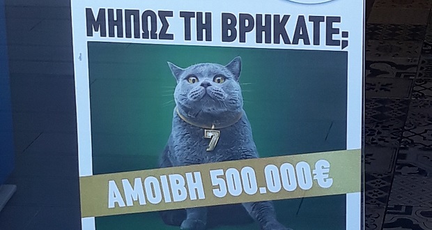 Kυνήγι σε όλη την Ελλάδα για μία γάτα με αμοιβή 500.000 ευρώ