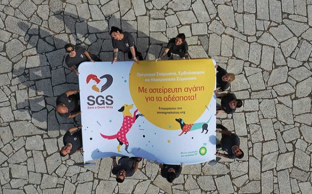 «Με αστείρευτη αγάπη για τα αδέσποτα» – Η SGS και τα πρατήρια BP συμπράττουν για 2η φορά για καλό σκοπό