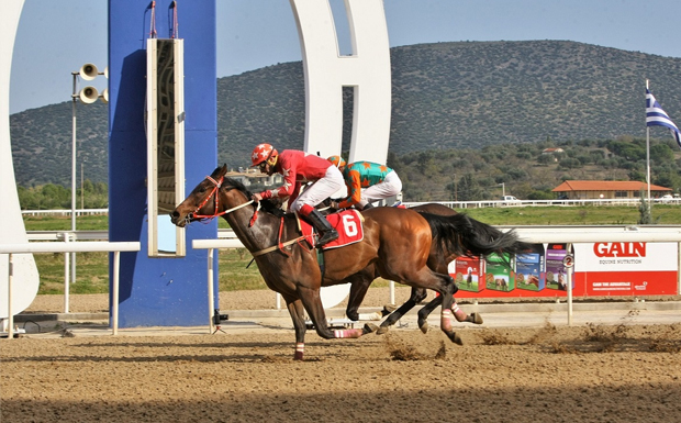 Εννέα ιπποδρομίες, τέσσερα ΣΚΟΡ και επιδότηση Γκανιάν την Κυριακή στο Markopoulo Park