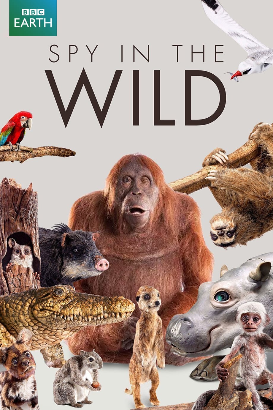 «Spy In The Wild» : Ντοκιμαντέρ σε Α’ Τηλεοπτική Μετάδοση στον ΣΚΑΪ