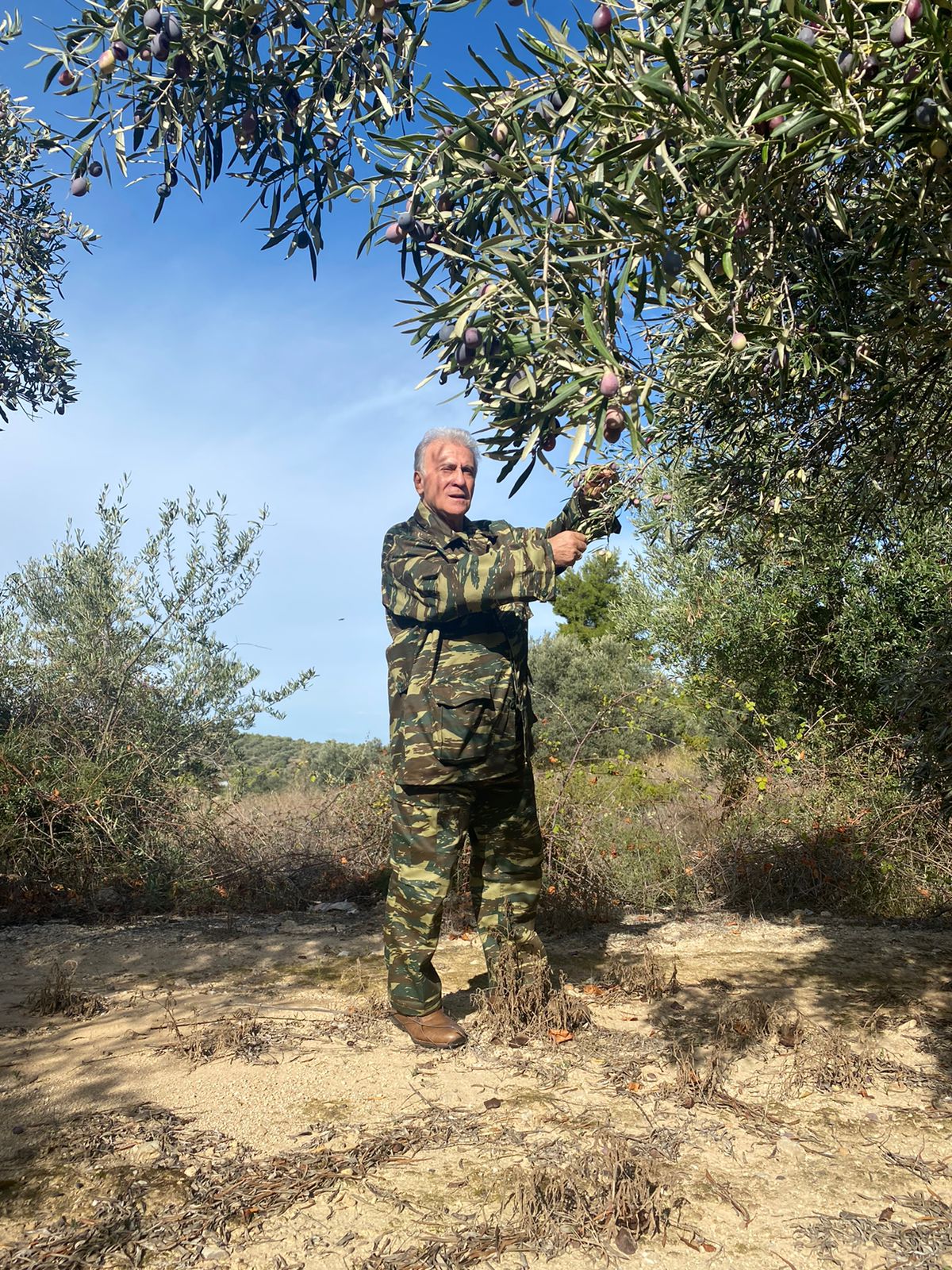 ΑΝΤ1: Ο Παναγιώτης Ψωμιάδης (ΝΔ) μπαίνει στη “Φάρμα”