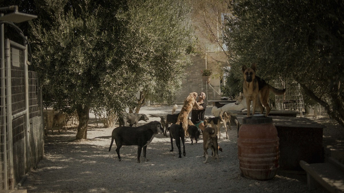«TAKIS»: Πρεμιέρα σήμερα του ντοκιμαντέρ στο Φεστιβάλ Θεσσαλονίκης 
